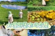 家庭农场游戏攻略（掌握种植、养殖技巧，成为顶级农场主）