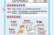 原神新手攻略（一起探索世界，解锁隐藏秘密，找到可爱的小猫！）