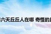 原神折箭觅踪第六天攻略（深入探索新区域，解锁丰富奖励）