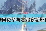 原神留影相机攻略（记录、分享、留念，如何用好原神留影相机）