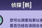 《鹅鸭杀》游戏决斗呆呆鸟职业玩法教学（教你如何成为决斗场上的呆呆鸟大神）