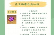 原神新手攻略超详细（掌握原神新手必备技巧，轻松游玩无压力）