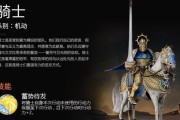 《神奇骑士技能搭配攻略》（解析技能组合，助你成为强力骑士！）
