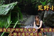荒野生存游戏美食攻略（探索、狩猎、烹饪）